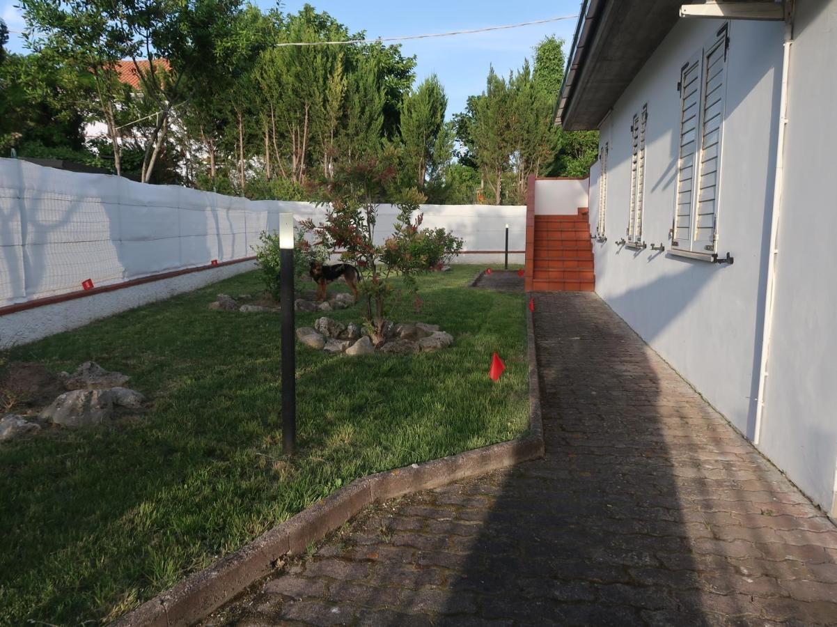 Terra Da Mare Apartment Potenza Picena Exterior photo